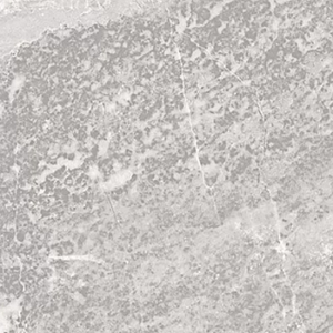 Гибкая керамика PHOMI Marble 1200x600мм 0.72м2  — Veil Grey